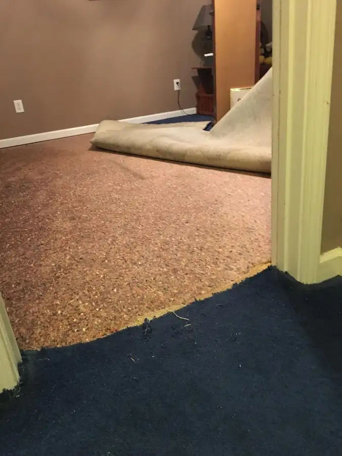 Carpet pad removal revealing water damage during Water Mitigation Services in Hartsville