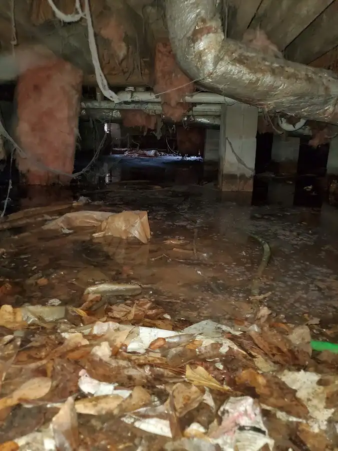 Crawl space flood assessment for Commercial Water Damage Restoration in Hartsville